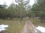 Foto18.JPG