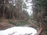 Foto28.JPG