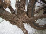 DSCN1126.jpg