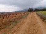 Imagen019.jpg