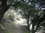 DSCN3205 (Medium).JPG