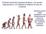evolucin_y_genoma.jpg