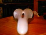 PHOT0227.JPG