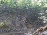 Finde GuilleriesÂ´06- Navarcles 018 (Medium).jpg