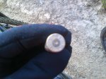 DSC00052.JPG