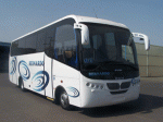 Bus-Bernardo-adaptado.gif