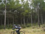 IMG_3925.jpg