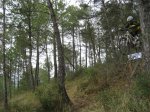 IMG_3951.jpg