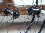 foro mtb 008.jpg