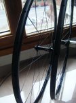 foro mtb 009.jpg