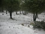 DSCN5351.JPG