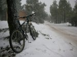 DSCN5376.JPG