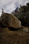 _D229480.jpg