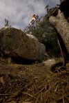 _D229491.jpg