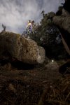 _D229496.jpg
