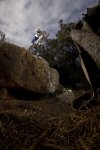 _D229499.jpg