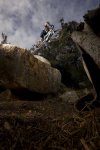 _D229501.jpg