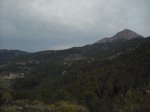 IMG_2226.jpg