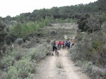 IMG_2228.jpg