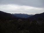 IMG_2231.jpg