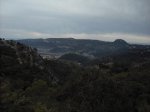 IMG_2237.jpg