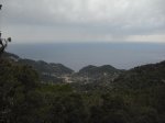 IMG_2248.jpg