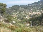 IMG_2262.jpg