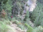 IMG_2287.jpg