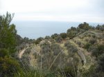 IMG_2312.jpg