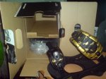 DSC00464.jpg