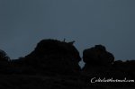 DSC_1723.jpg