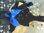 DSC00209.jpg