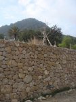 SJosep-Talia-CalaMoli-01.jpg