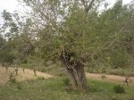 SJosep-Talia-CalaMoli-10.jpg