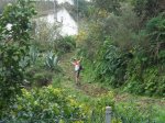 P2280013 (Copiar).JPG