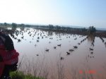 DSC01708.jpg