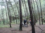 DSCN4593.JPG