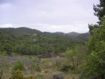 salida 04-03-09 005.jpg