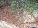 salida 04-03-09 012.jpg