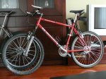 BICI 008.jpg