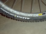 SV400454.jpg