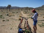 1joshuatree.jpg