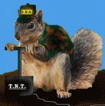 10074.gif