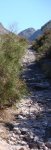 DSC02189.JPG