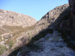 DSC02234.JPG