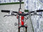 IMGP1518.JPG