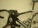 CANNONDALE NANAS 023.jpg