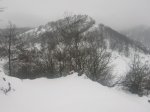 DSCN5733.jpg