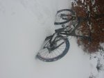 DSCN5735.jpg