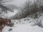 DSCN5736.jpg